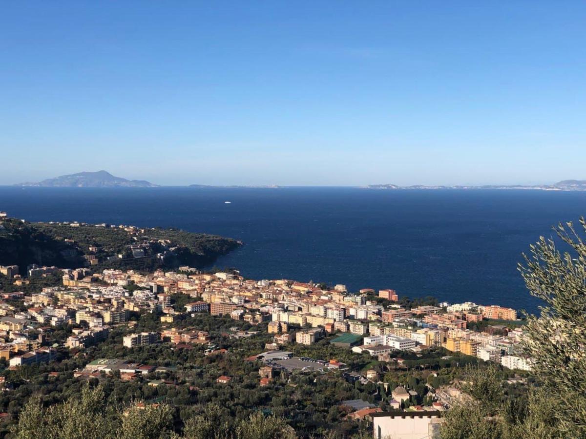 L'Orto Di Grace Villa Sorrento Exterior photo